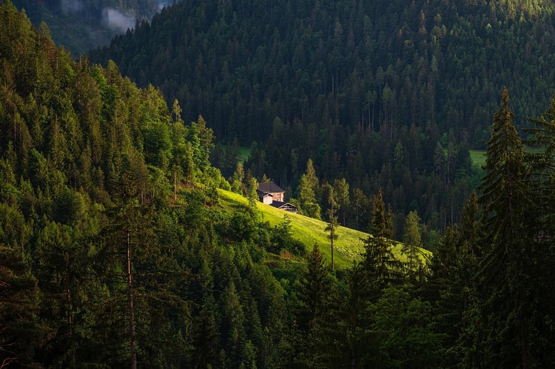 Cabin in the Woods